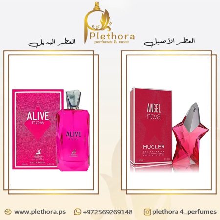 بديل انجل نوفا تيري موغلر
